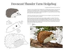 happy the hedgehog downeast thunder farm