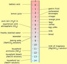 Tooth Decay Science Project Beverage Acidity Chart Ph Chart