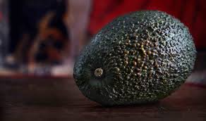 avocado recipe nutrition precision