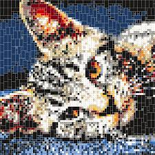 Lego Compatible Brick Mosaic Art