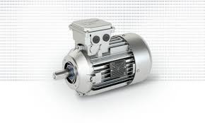 whole asynchronous electric motor
