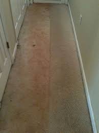 carpet cleaner wet carpet cleaners