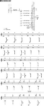 69 True Free Bass Clarinet Finger Chart