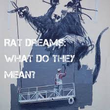 rat dream meanings and interpretations