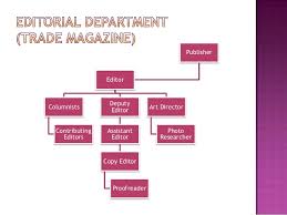 Organization Structure Of The Magazine Industry