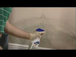 remove mould from walls and ceilings