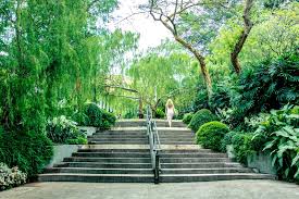 singapore botanic gardens world