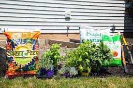 Planting The Vegetable Garden Petitti