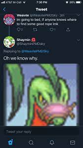 Character » grovyle appears in 5 issues. Weavile On Twitter Is Grovyle Into Bondage Tryna Prove A Point