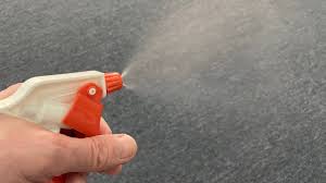 flea spray for carpets homemade fast