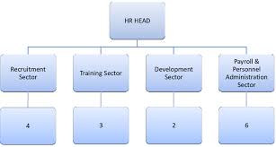 Hr Division Organisational Chart In 2012 See Online Version