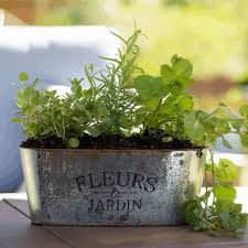 Diy Herb Container Garden The Kitchen