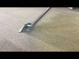 professional carpet cleaning in central