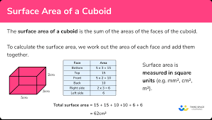 Surface Area Of A Cuboid Gcse Maths