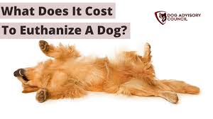 what does it cost to euthanize a dog