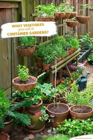 What Vegetables Grow Well In Container