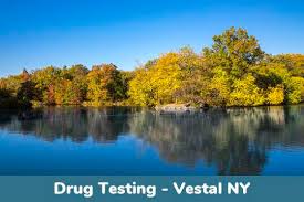 Test Vestal Ny Health Street