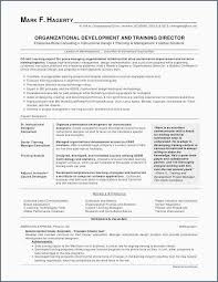 First Time Resume Examples New First Time Resume Examples Best