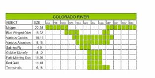 Colorado River Hatch Chart