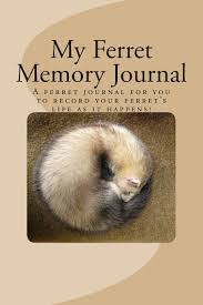 My Ferret Memory Journal A Personal Ferret Journal For You
