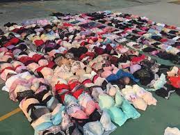 Panties pervert used homemade fishing rod to steal hundreds of worn bras  and knickers - World News - Mirror Online