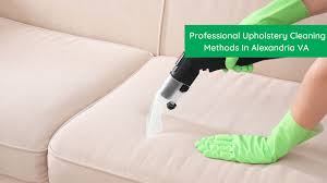 5 professional upholstery cleaning