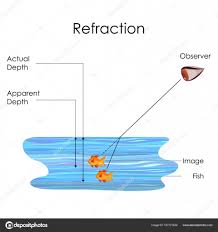 Education Chart Of Physics For Refraction Concept In Water