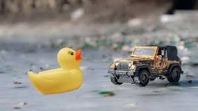 why-did-someone-put-a-duck-on-my-jeep