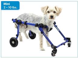 4 wheel dog wheelchair walkin wheels