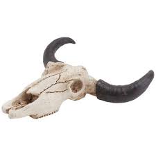 1pc Bull Head Wall Decor Longhorn Skull
