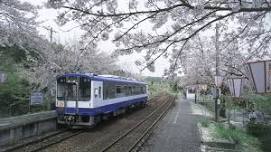 Noto-Kashima Station Cherry Blossoms