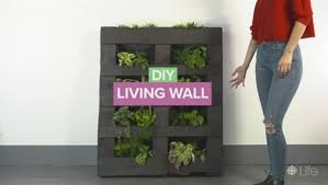 Diy Indoor Vertical Garden Cbc Life