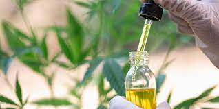 What Is Cannabis Oil