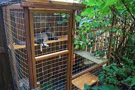 Easy Outdoor Diy Cat Cage Enclosure