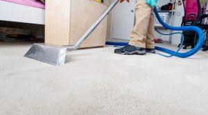 superb carpet cleaning services in