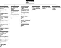 Vaccine Research Center Organizational Chart Nih National