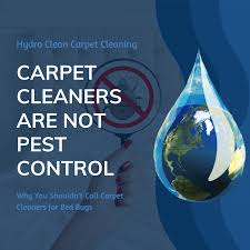 hydro clean carpet cleaning