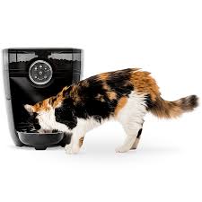 It'll also improve your sleep, as the cat will no longer wake you up in the early morning every day. Timed Automatic Pet Feeder Food Dispenser Litter Robot