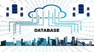 what is database management system in