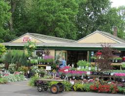 bloomin garden centre and landscape