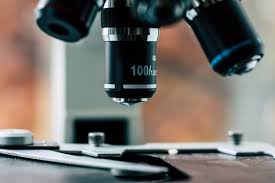 Microscopia e biologia parte I: conhecendo os microscópios ópticos e suas  aplicações - Profissão Biotec