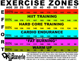 Workout Pulse Rate Heart Rate Zones