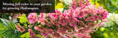 Spring Hill Nurseries Find Your