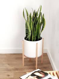 Brass finished metal planter (5 in. Large Mid Century Modern Plant Pot And Wood Stand 12 Image 1 Wood Plant Stand Mid Century Modern Planter Modern Planters