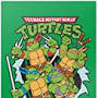 pictures of teenage mutant ninja turtles from www.amazon.com