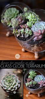 8 Diy Glass Globe Terrarium Recipes
