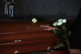 Written and composed by mercyme, dan muckala, and brown beautiful was written for the daughters of mercyme's band members. 1 422 Woman Casket Photos Free Royalty Free Stock Photos From Dreamstime