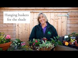 How To Plant A Shade Hanging Basket