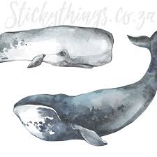 Painted Whale Wall Art Decals