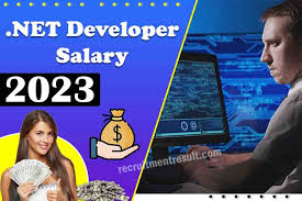 net developer salary 2023 average net